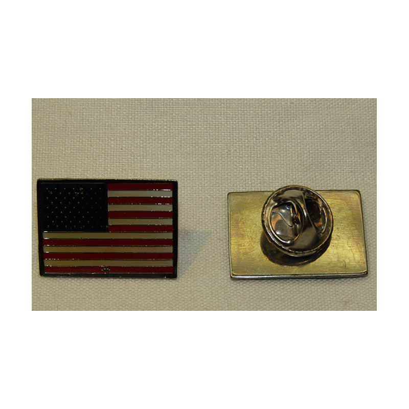 PIN US Flag