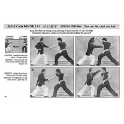 THE COMPLETE GUIDE TO KUNG FU FIGHTING STYLES EAGLE CLAW WHITE CRANE  MARTIAL ART