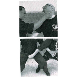 Eagle Claw Kung Fu Tactics and Application For Self Defense by Benson Lee