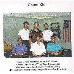 Voice Of The Ving Tsun Kung Fu System By Benny Meng