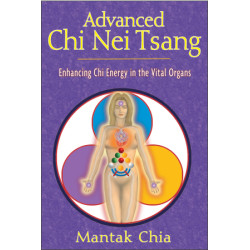 Advanced Chi Nei Tsang Enhancing Chi Energy in the Vital Organs  By Mantak Chia