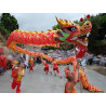 Dragon Dancing Set Gold（7-10  Dancers）