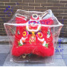 See Through PVC Lion Head Bag