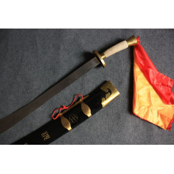 Spring steel broadsword with case