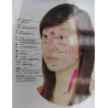Head Meridians & Acu-Points Chart