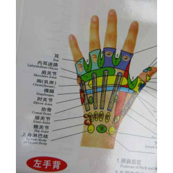 Hand Meridians & Acu-Points Chart