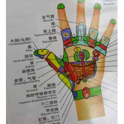 Hand Meridians & Acu-Points Chart