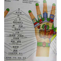 Hand Meridians & Acu-Points Chart
