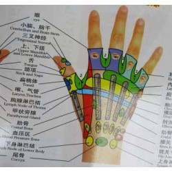 Hand Meridians & Acu-Points Chart