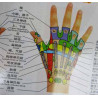 Hand Meridians & Acu-Points Chart