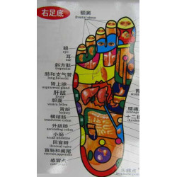 Foot Meridians & Acu-Points Chart
