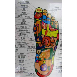 Foot Meridians & Acu-Points Chart