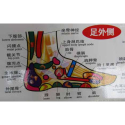 Foot Meridians & Acu-Points Chart