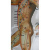 Body (Side) Meridians & Acu-Points Chart