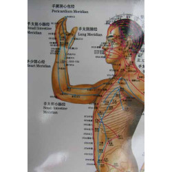 Body (Side) Meridians & Acu-Points Chart