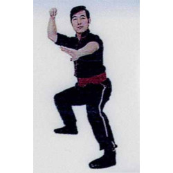 HUNG GA KUNG FU 2 - GUNG JI FUK FU KUEN & FIGHTING THEORY - GM FRANK YE
