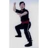 HUNG GA KUNG FU 2 - GUNG JI FUK FU KUEN & FIGHTING THEORY - GM FRANK YE
