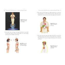 The Tao of Addiction and Recovery: Chi Kung Practices for Restoring the Energy Flow in Mind and Body