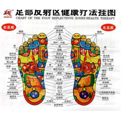 Foot Meridians & Acu-Points Chart