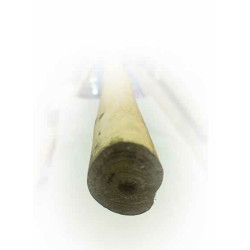 White oak (Wax wood) staff