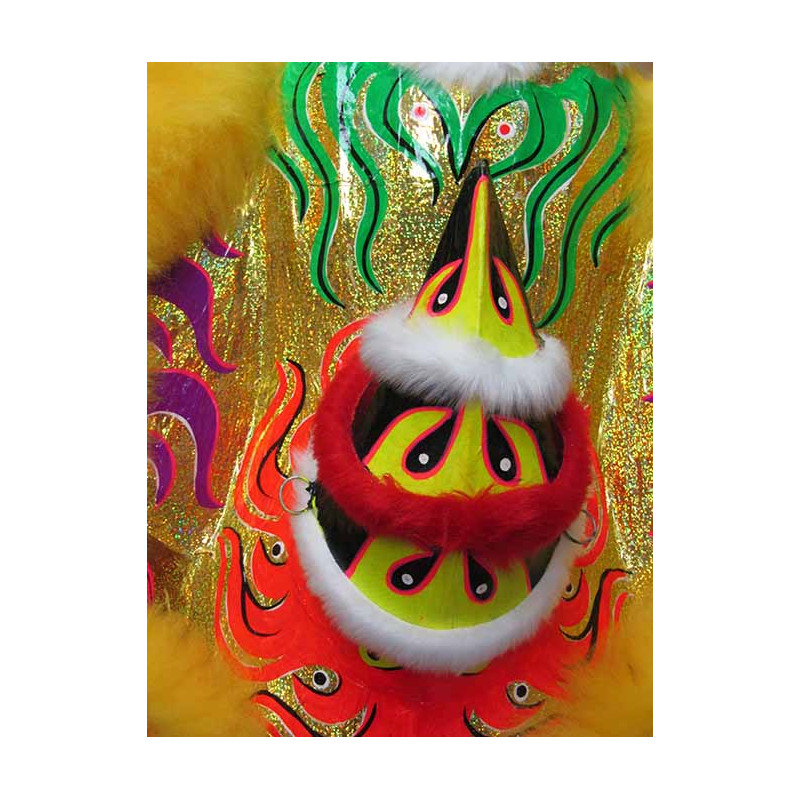 Lion Dance/Dragon Dance