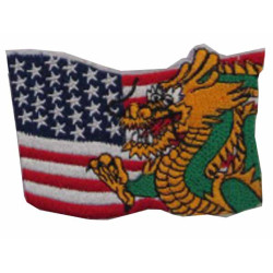 America flag with dragon...