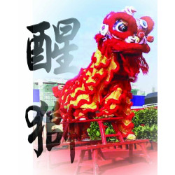 Chinese Lion Dance set Red...