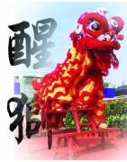 Chinese Lion Dance Equipment